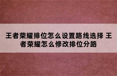 王者荣耀排位怎么设置路线选择 王者荣耀怎么修改排位分路